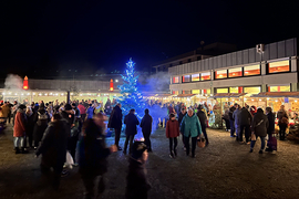 Stimmungsvoller Weihnachtsmarkt:  Adventszauber im Schloss Pfaffendorf