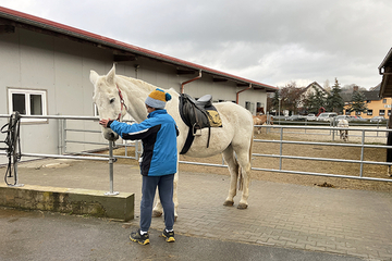 Heilpädagogisches Reiten im JHZ Pfaffendorf